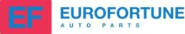 euro-fortune.com